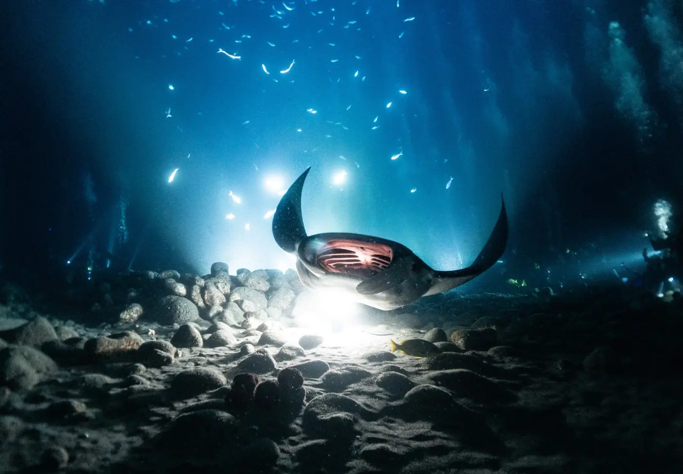 Kona Bay Depths