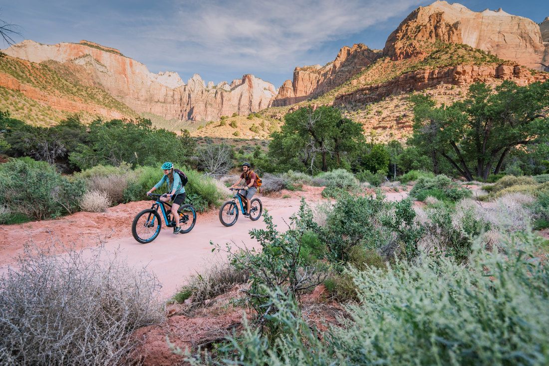 Zion Ebike Tour
