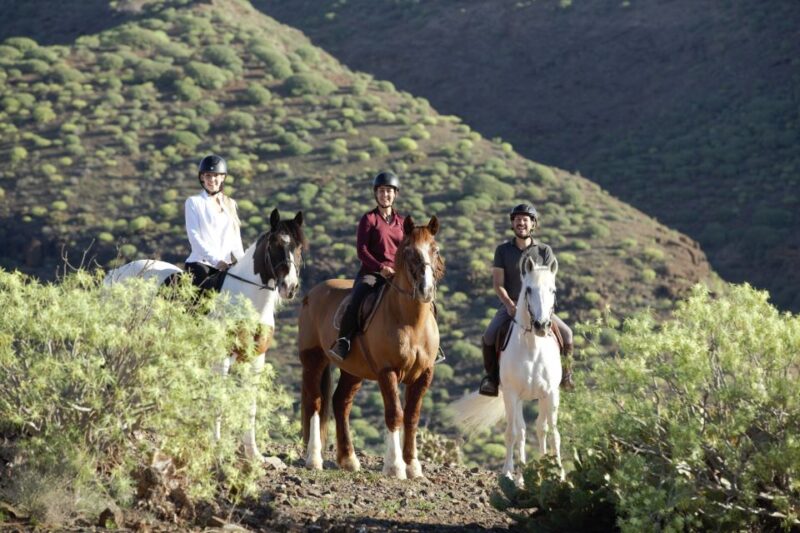 El Salobre Horse Riding Experience