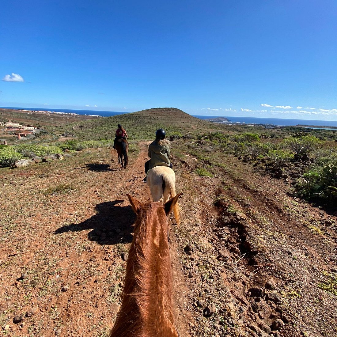 Your experience at El Salobre Horse Riding