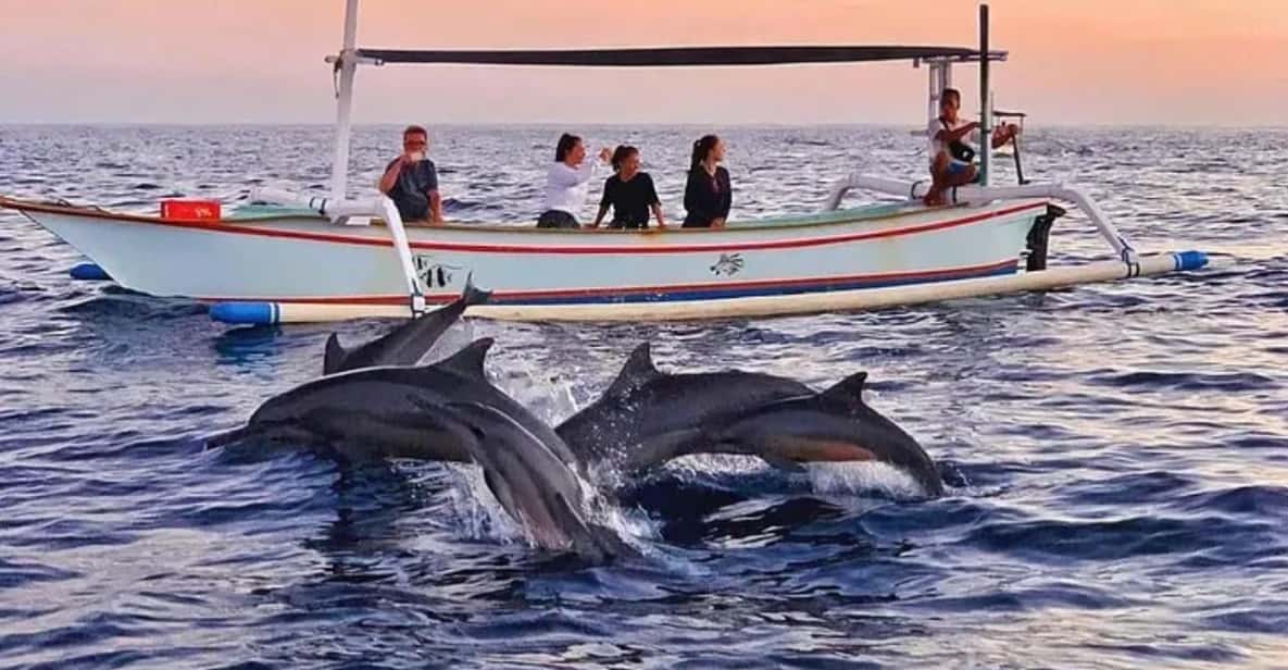 Your experience at Tybee Island Dolphin Tour
