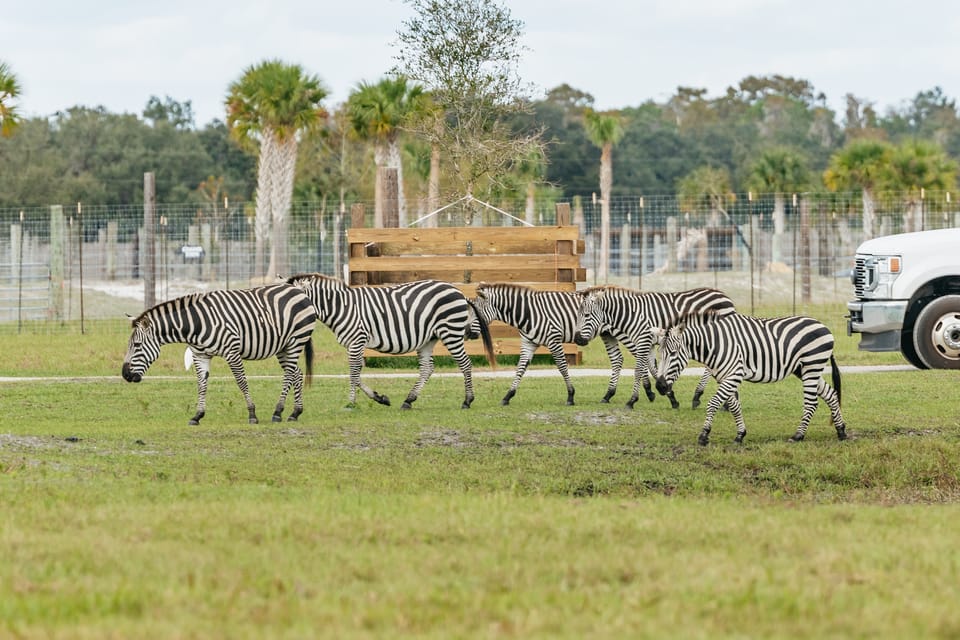 Drive Thru Safari Orlando at Wild Florida
