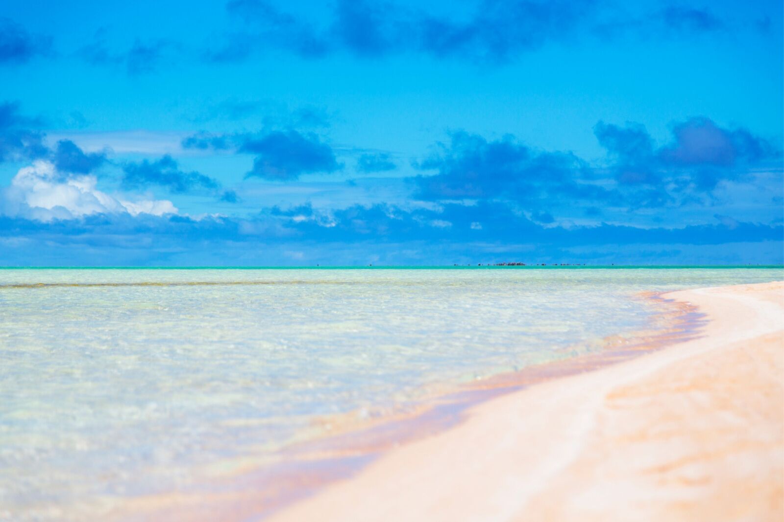 Pink Sandbar