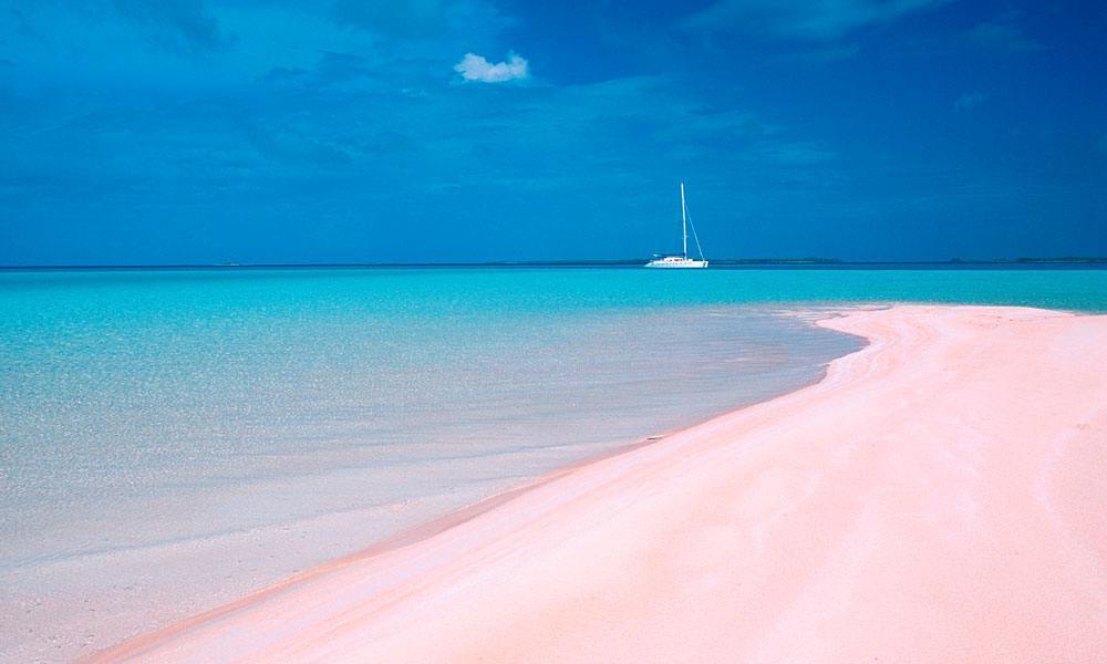 Pink Sandbar Visit