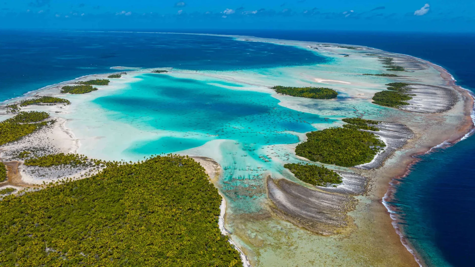 Bird Island