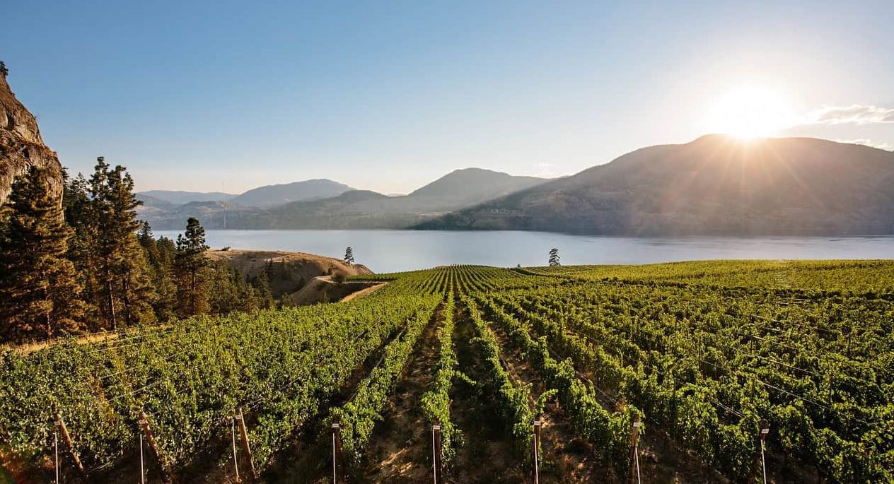 Naramata Wine Tours