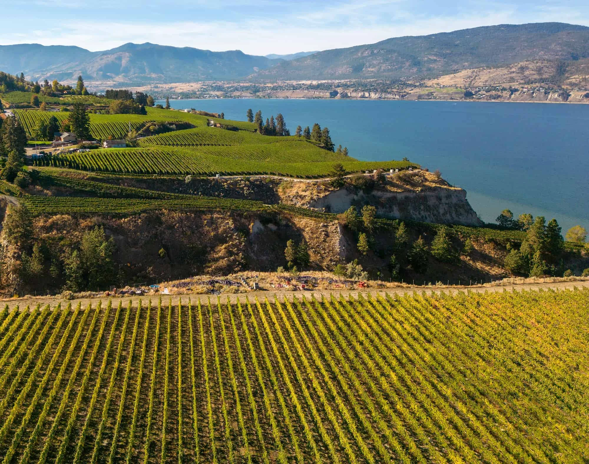 Naramata Wine Tours on the Bench