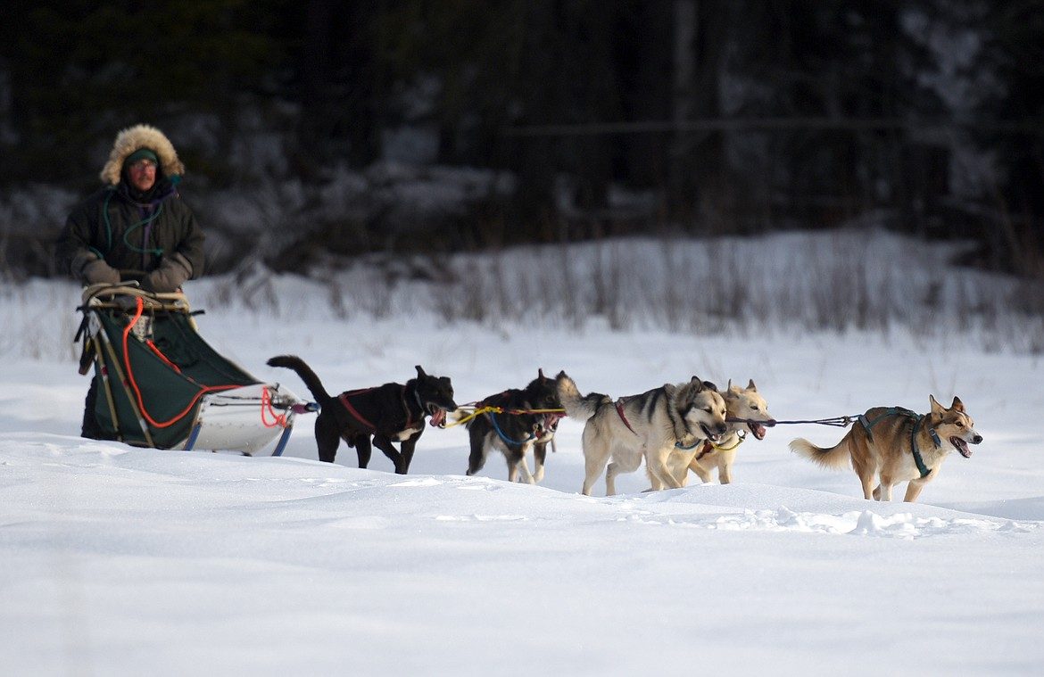 Your experience at Talkeetna Dog Sledding Tours