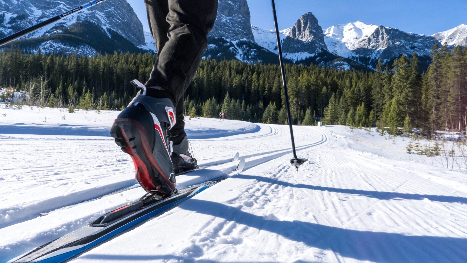 Your experience at Cross Country Skiing Tromso