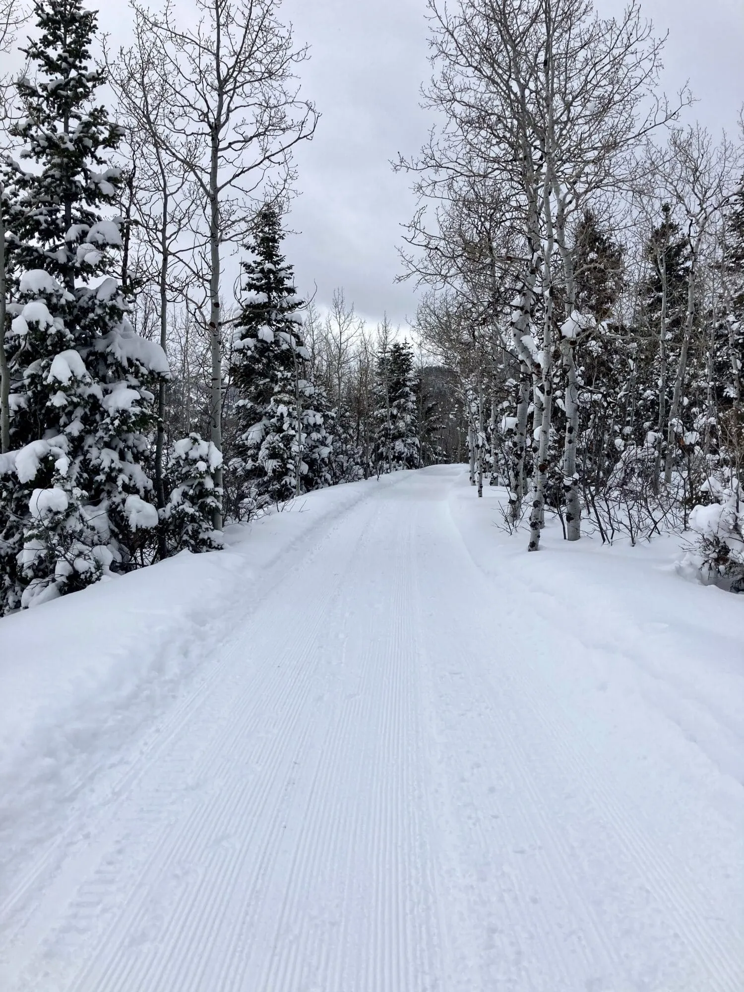 Cross Country Skiing Tromsø in Breivikeidet