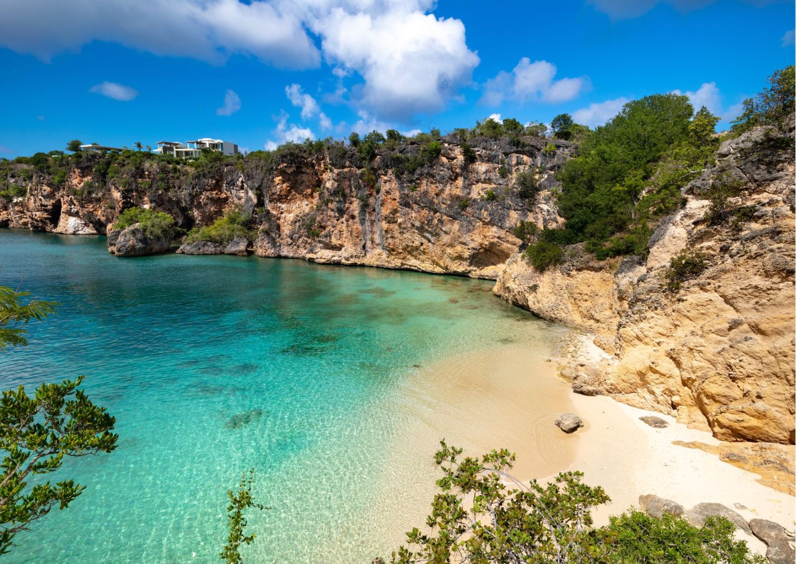 Crocus Bay Cliffs