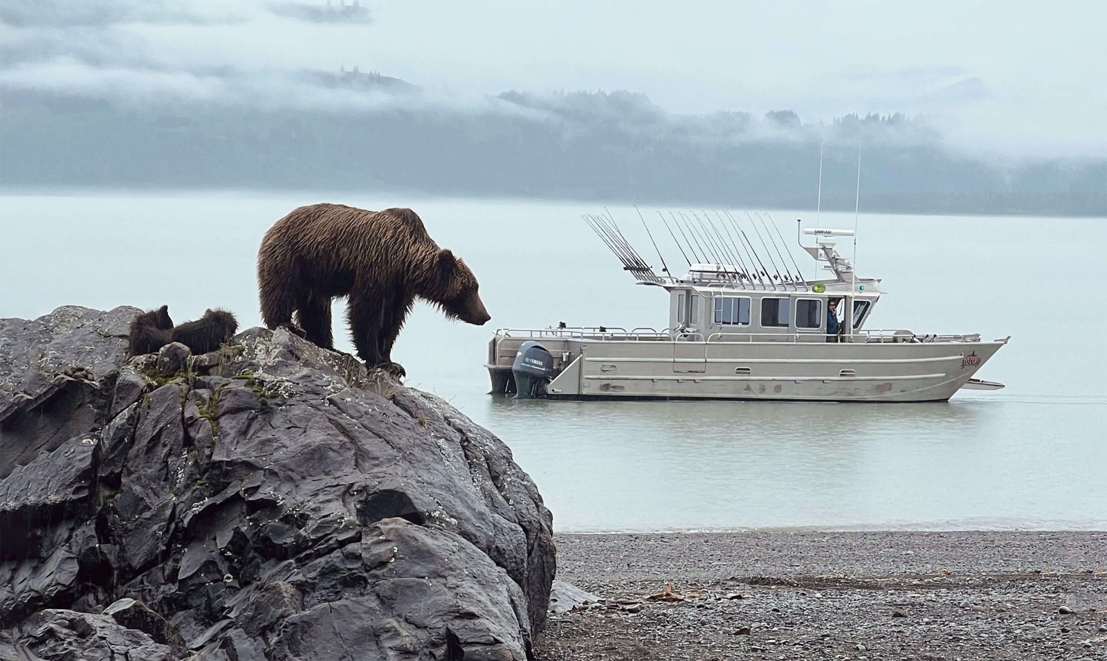 Your experience at Chichagof Island Bear Tour