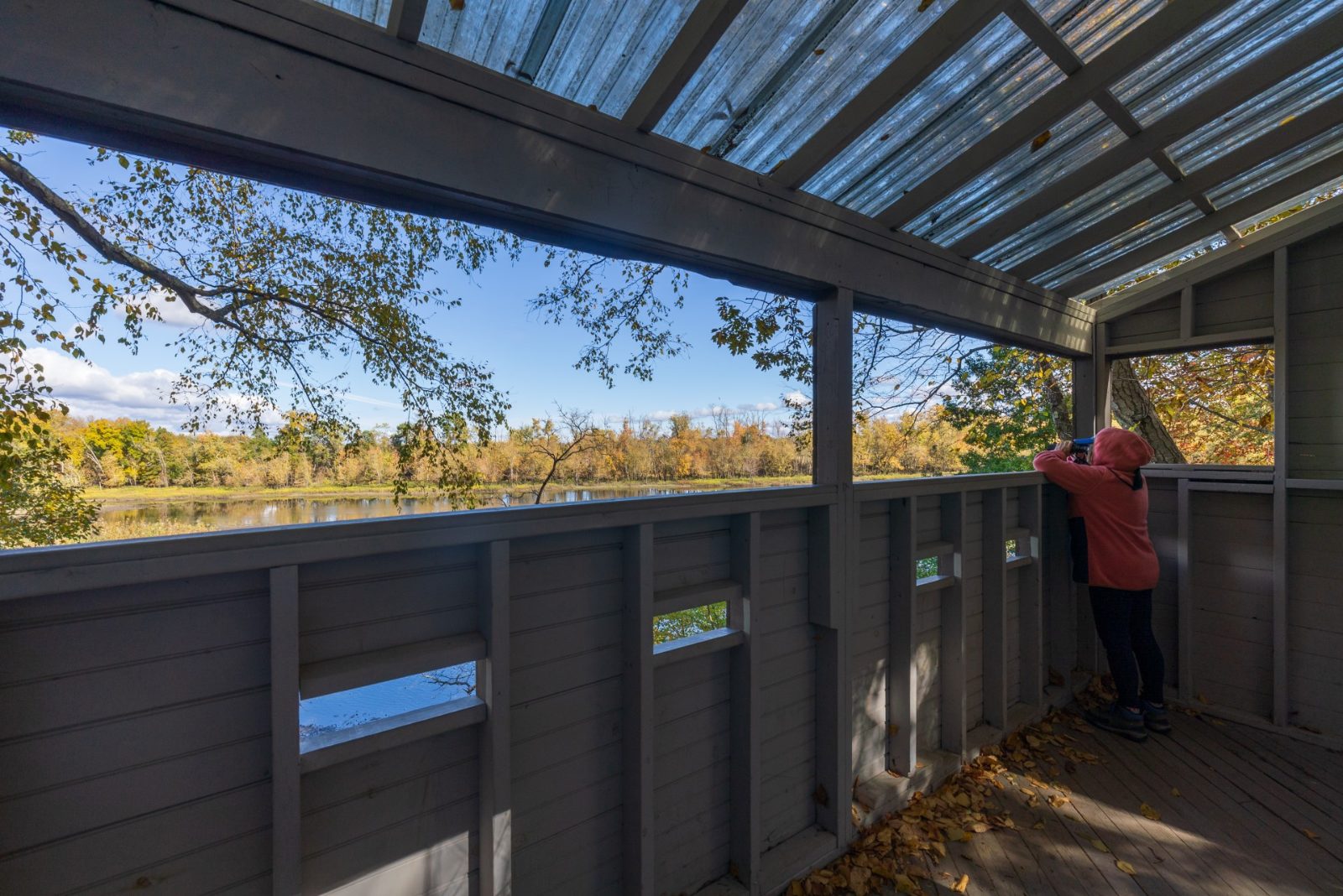 Wilderness Observation Blinds