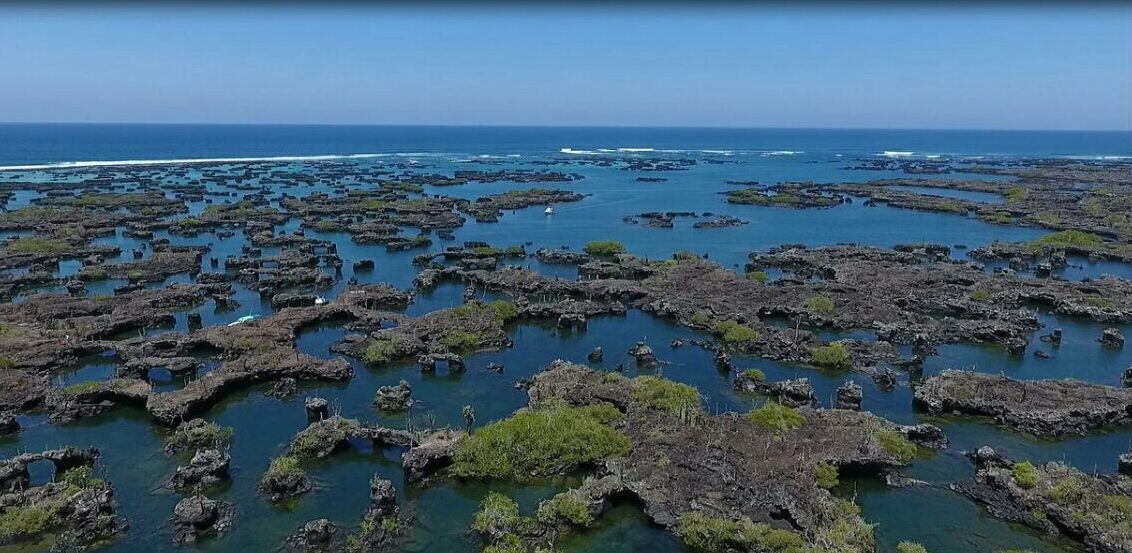 Los Tuneles Tour: Snorkeling Galápagos Lava Formations