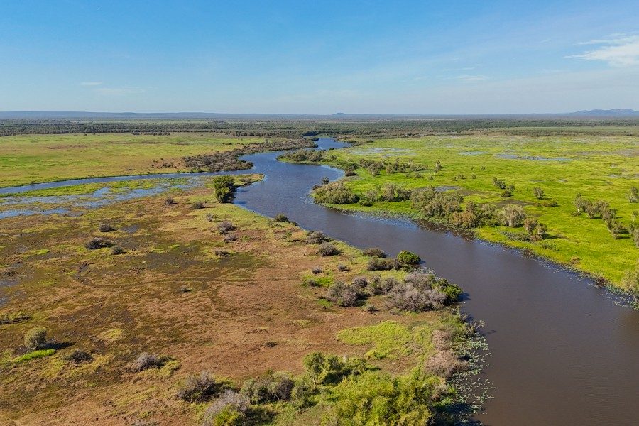 Mary River Wetlands Cruise Experience
