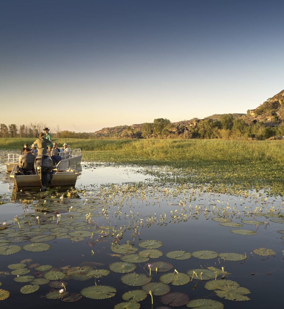 Mary River Wetlands Cruise
