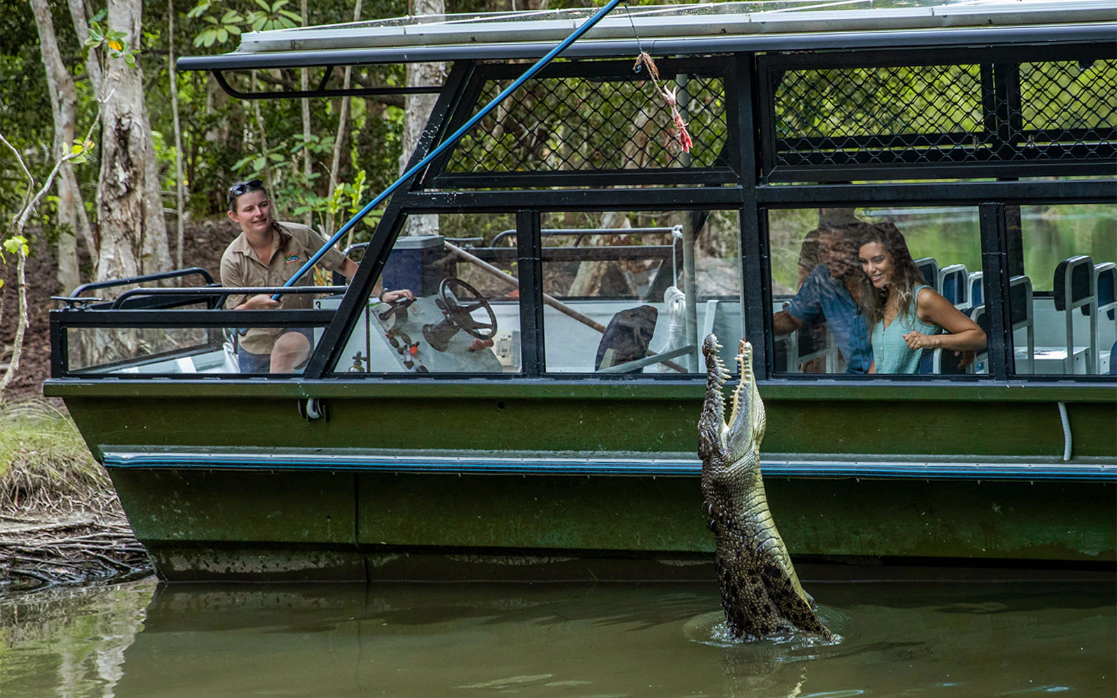 Your experience at Mary River Wetlands Cruise