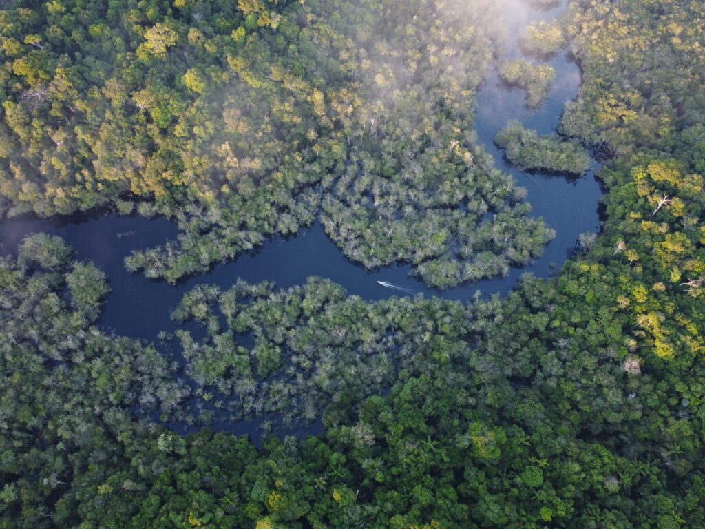 Jauaperi Reserve
