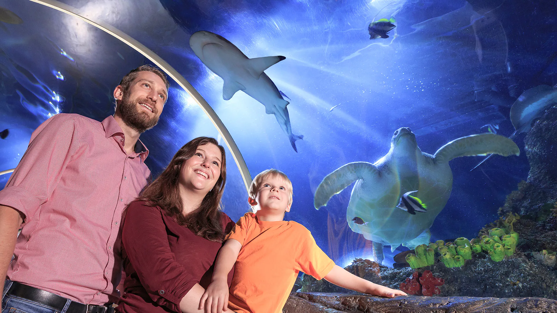 Sea Life Konstanz