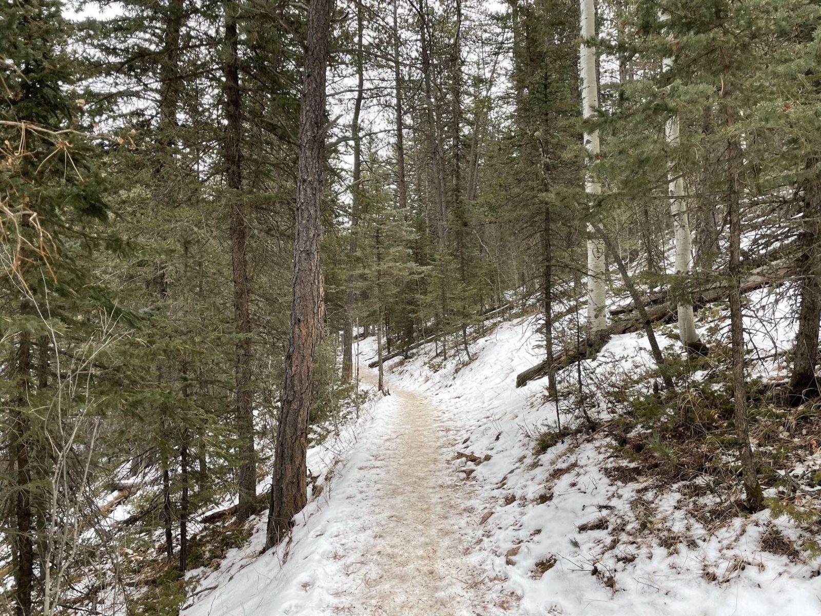 Mountain Trail Loops