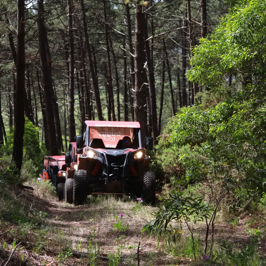 Your experience at Nazare Buggy Tours
