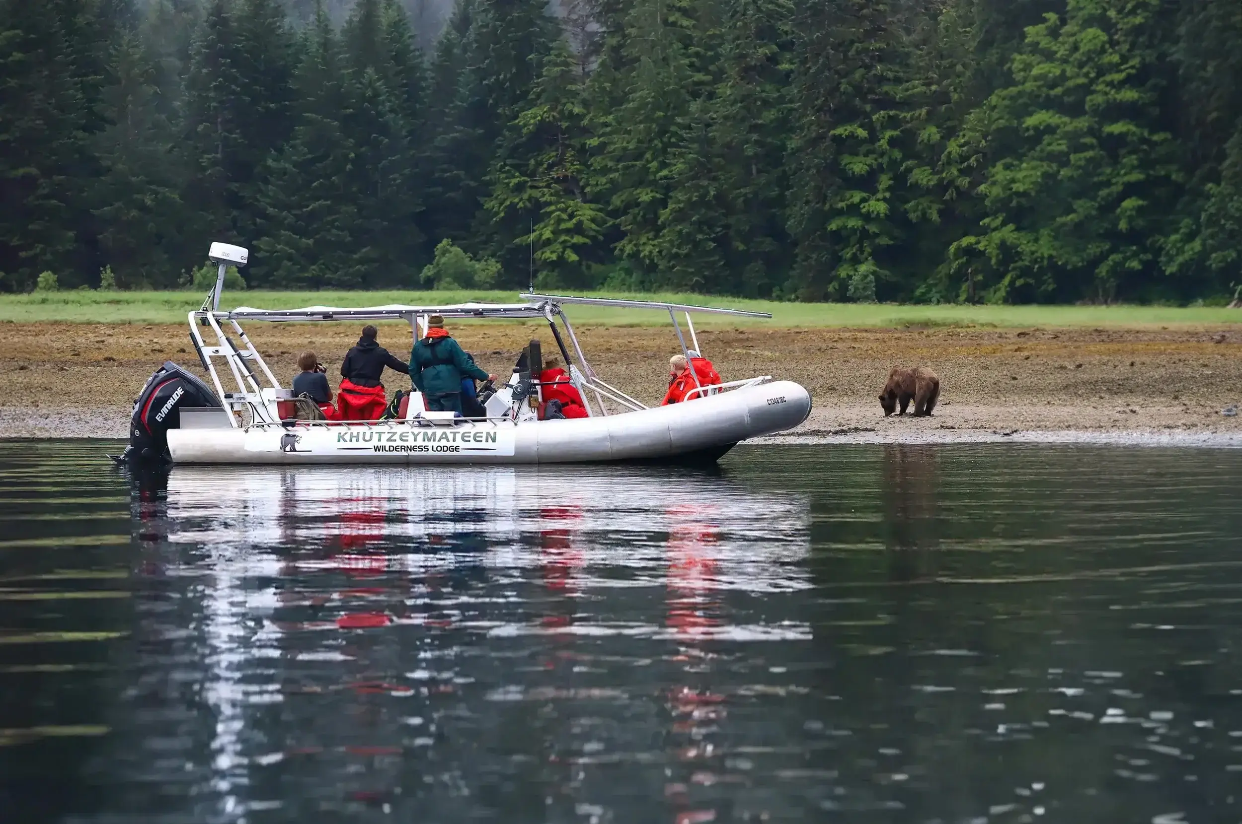Your experience at Tofino Bear Watching Tours