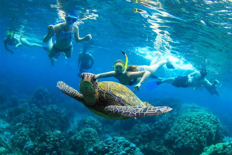 Kaanapali Snorkel Tour