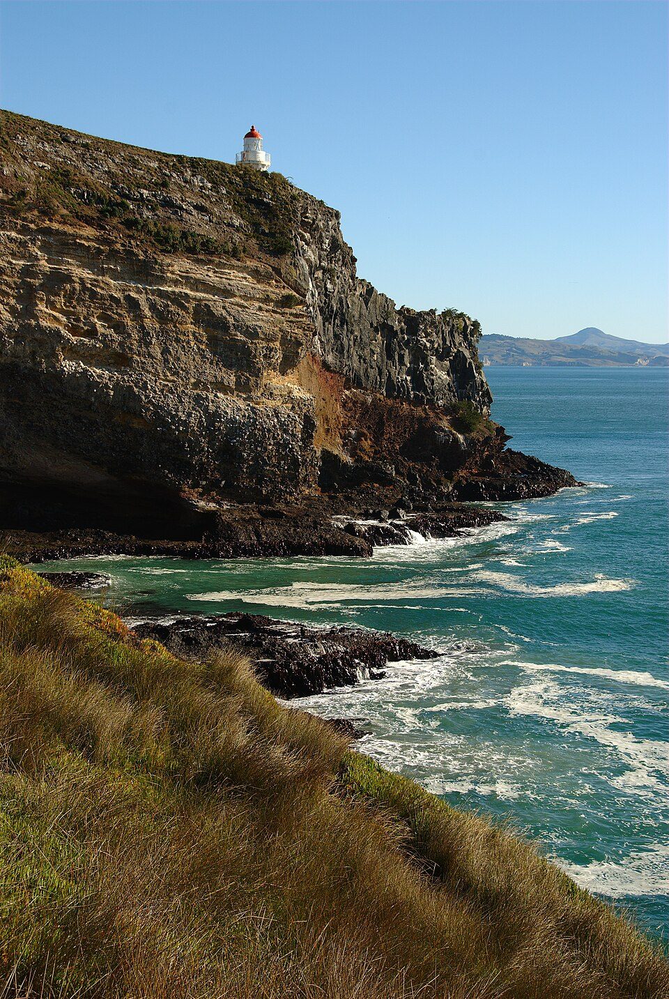 Taiaroa Head