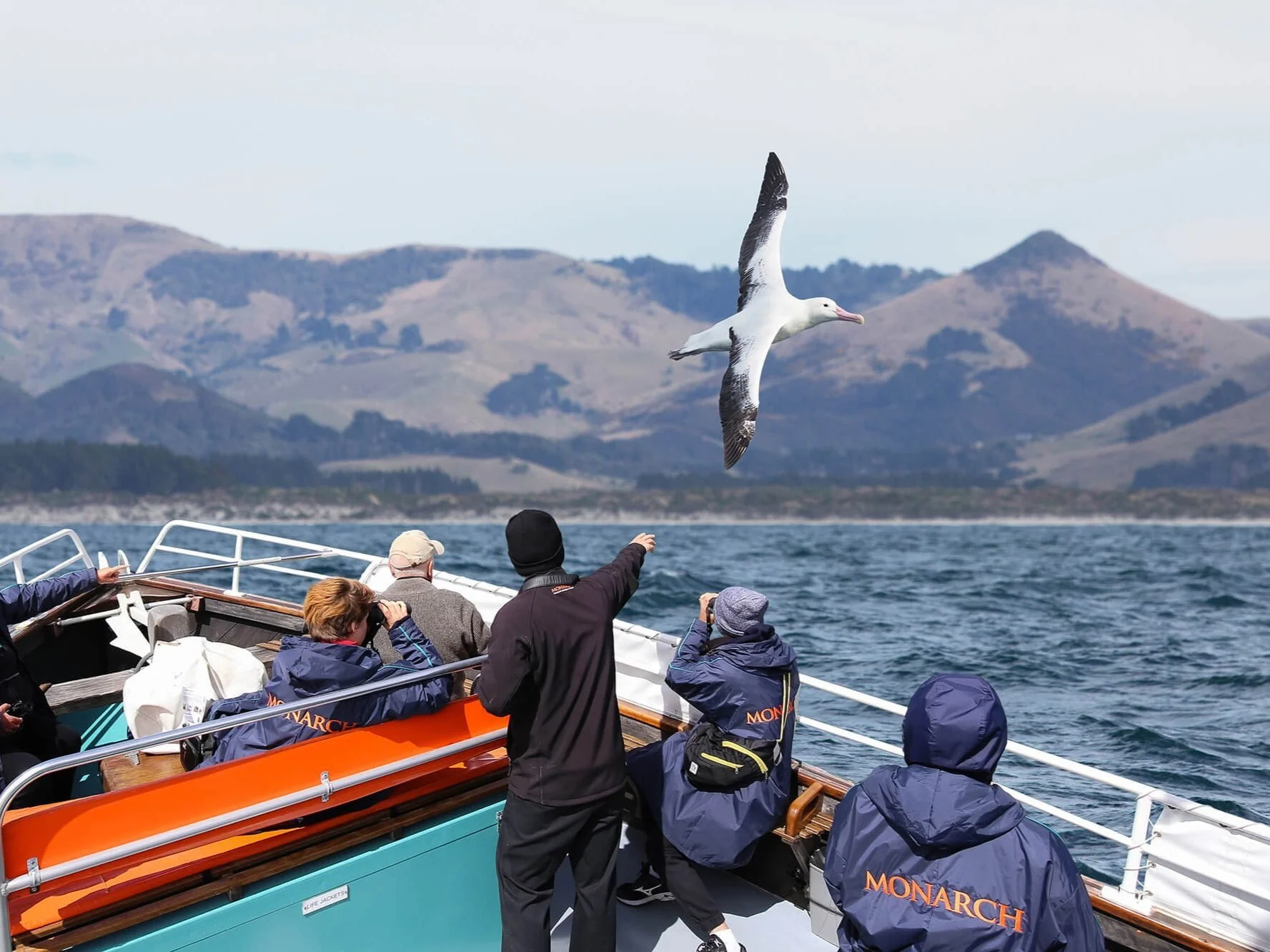 Otago Peninsula Wildlife Tour