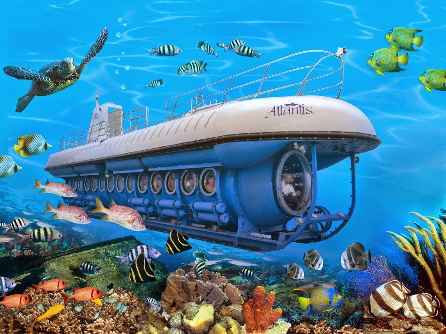 Your experience at Puerto De Mogan Submarine Tour