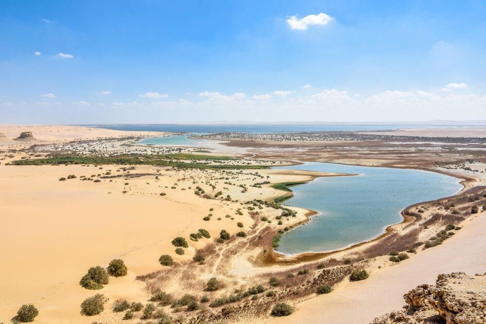 Fayoum Desert Safari Adventure