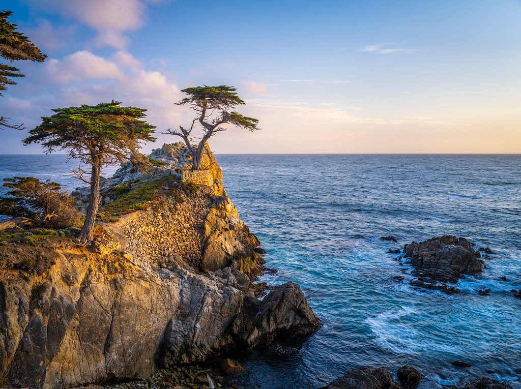 Your experience at Monterey and Carmel Day Trip