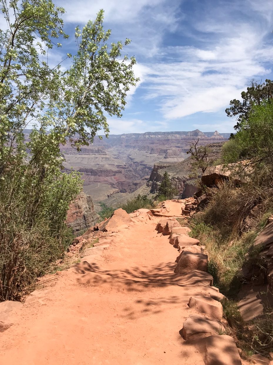 Scenic Pathway