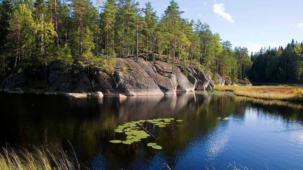 Nuuksio Hiking Tours