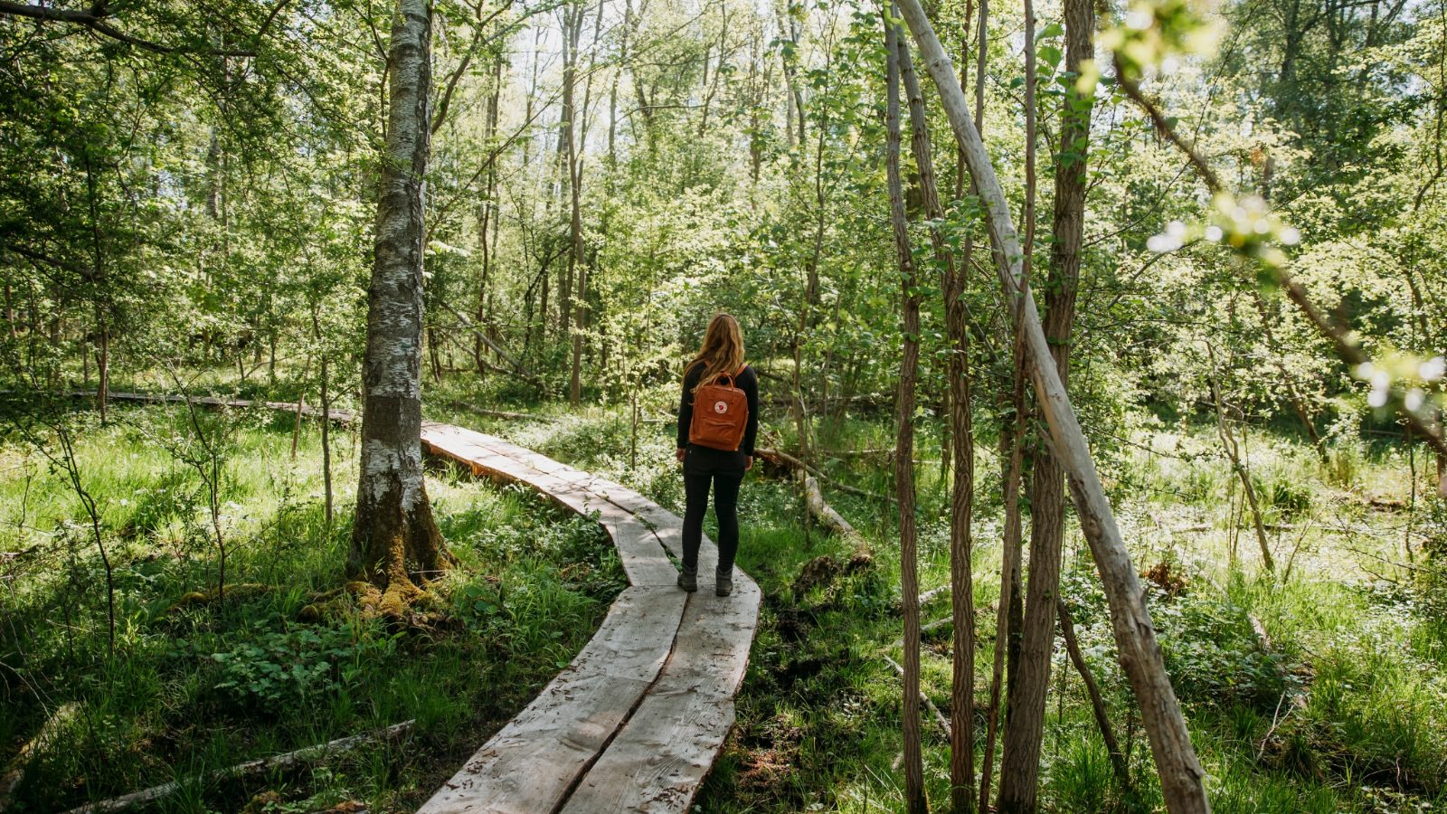 Your experience at Nuuksio Hiking Tours