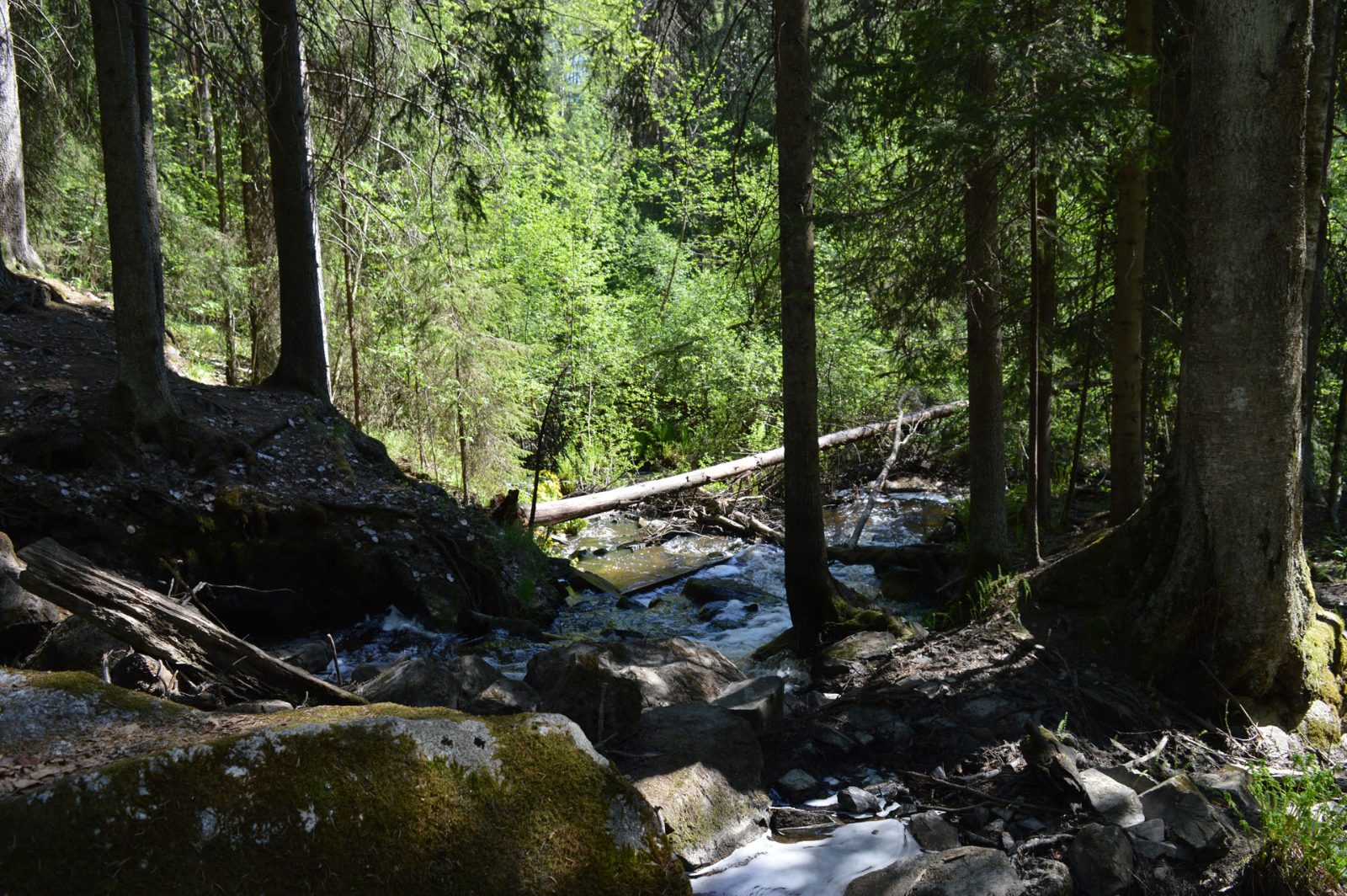 Myllypuro Valley