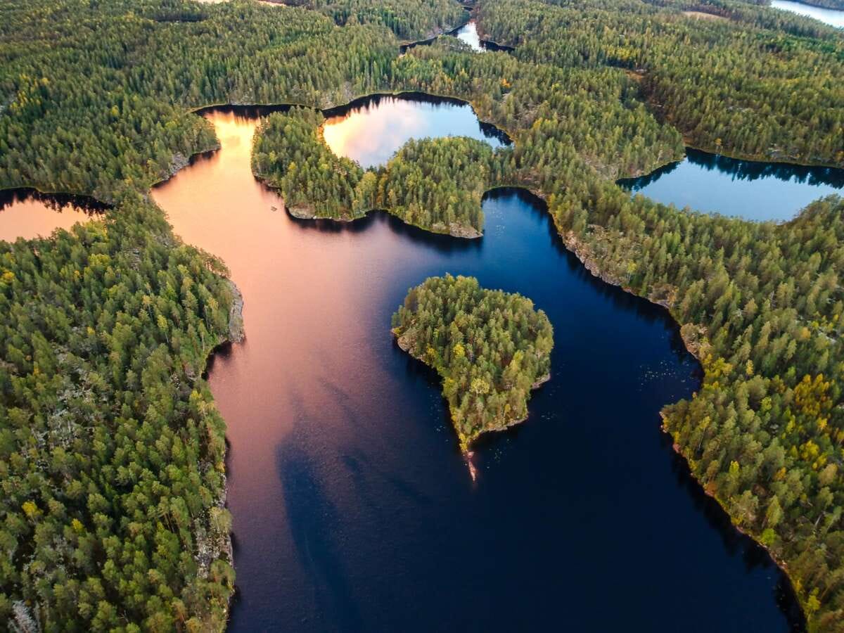 Guided Nuuksio Hiking Tours Through Ancient Forest