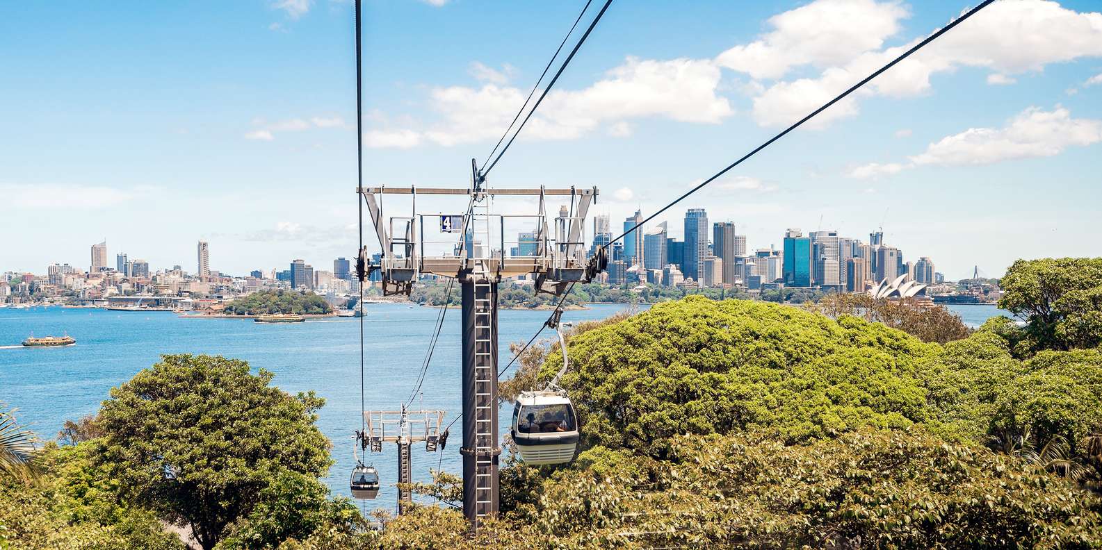 Your experience at Taronga Zoo Ferry Tickets