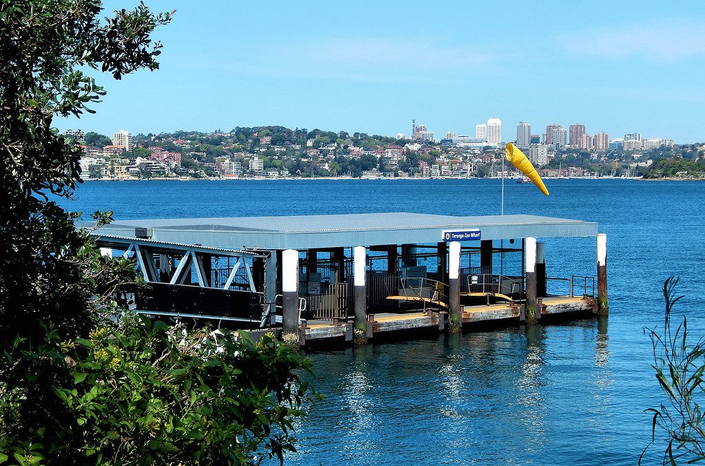 Taronga Wharf