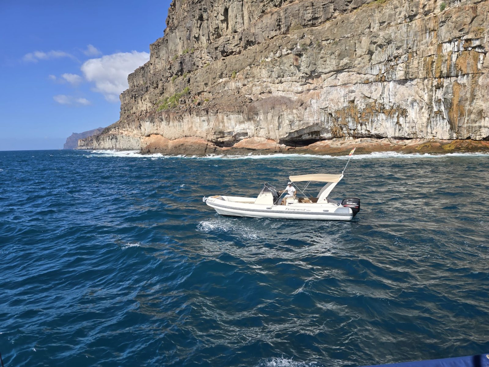 Mogan Boat Trips
