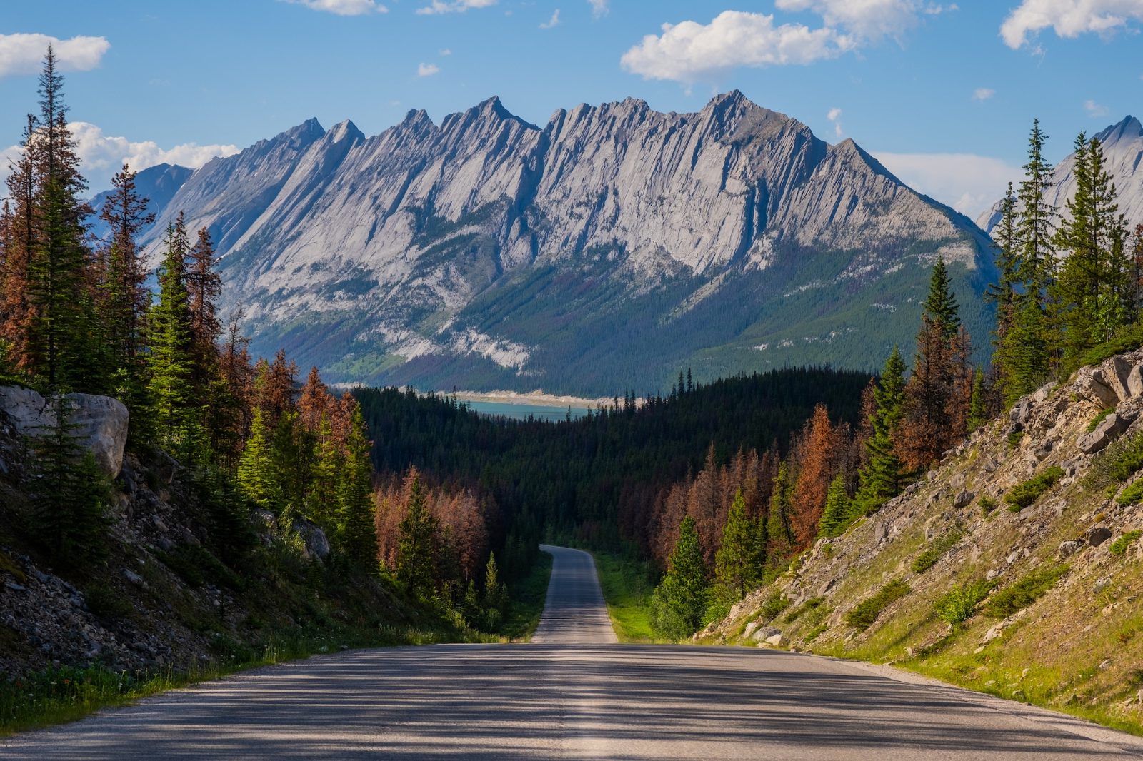Maligne Lake Road