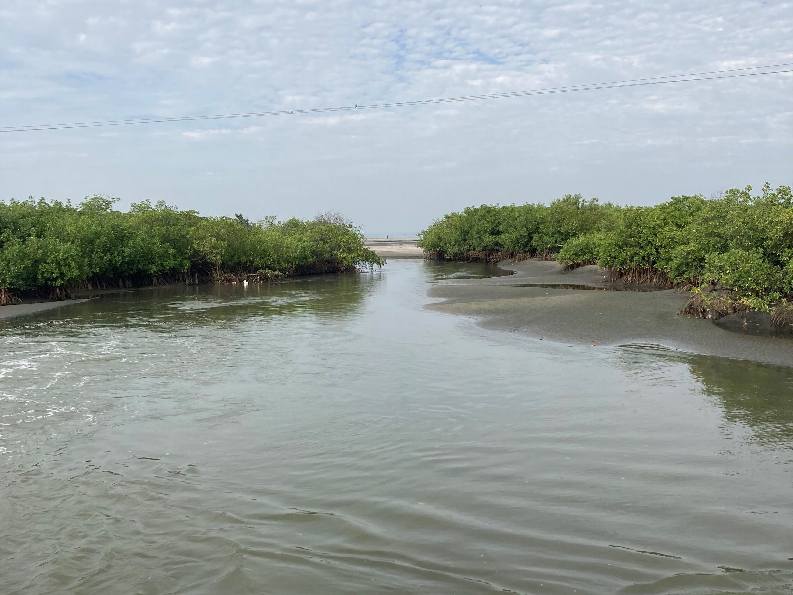 Tanbi Wetlands