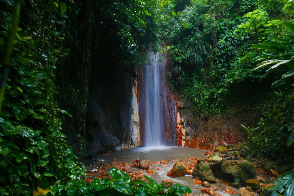 Diamond Falls Botanical Gardens
