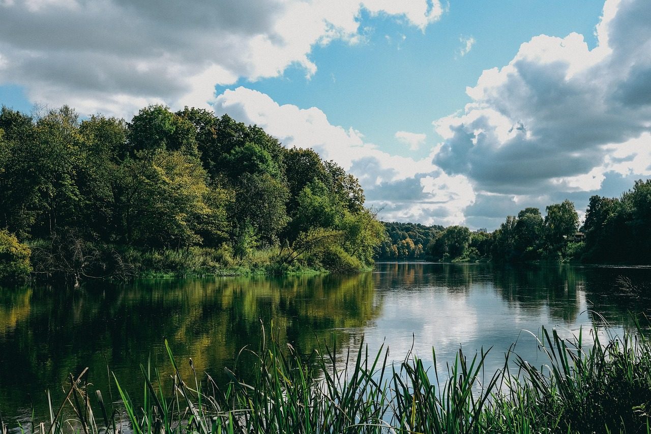 Pleiße River