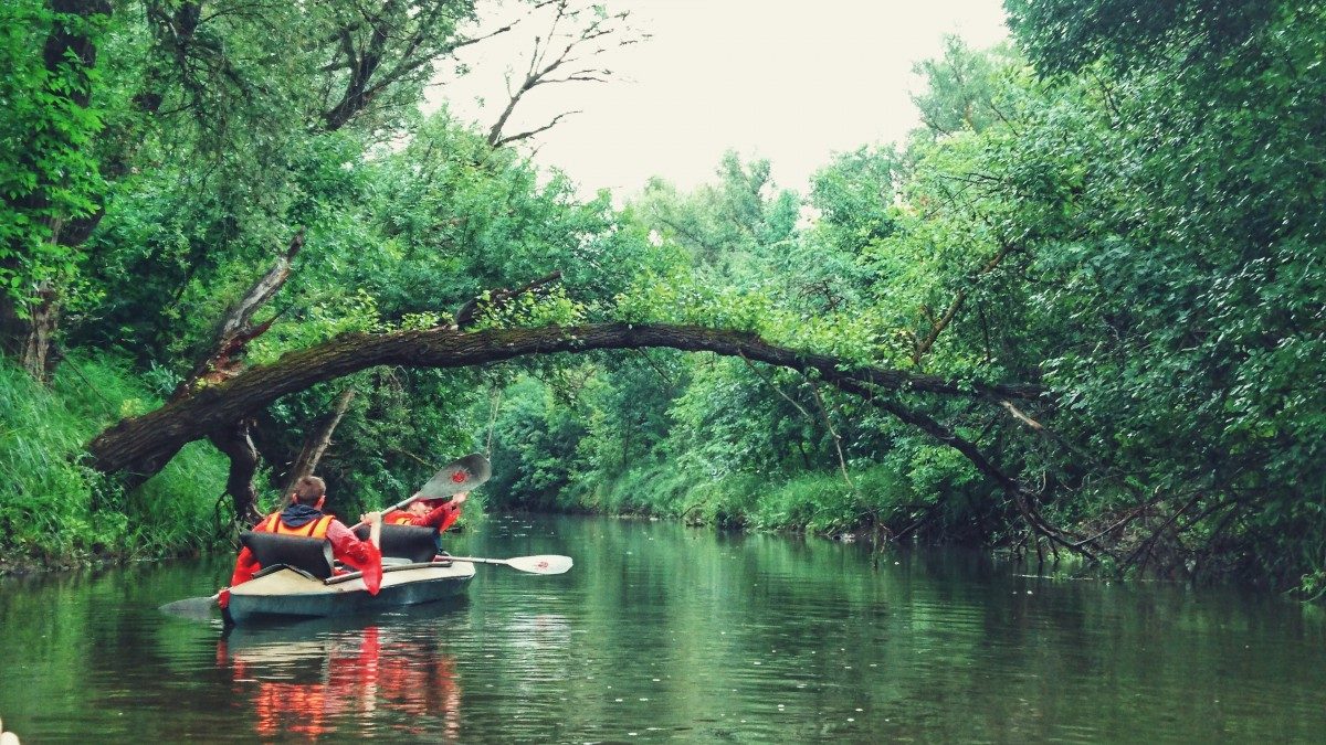 Your experience at Leipzig Boat Tour