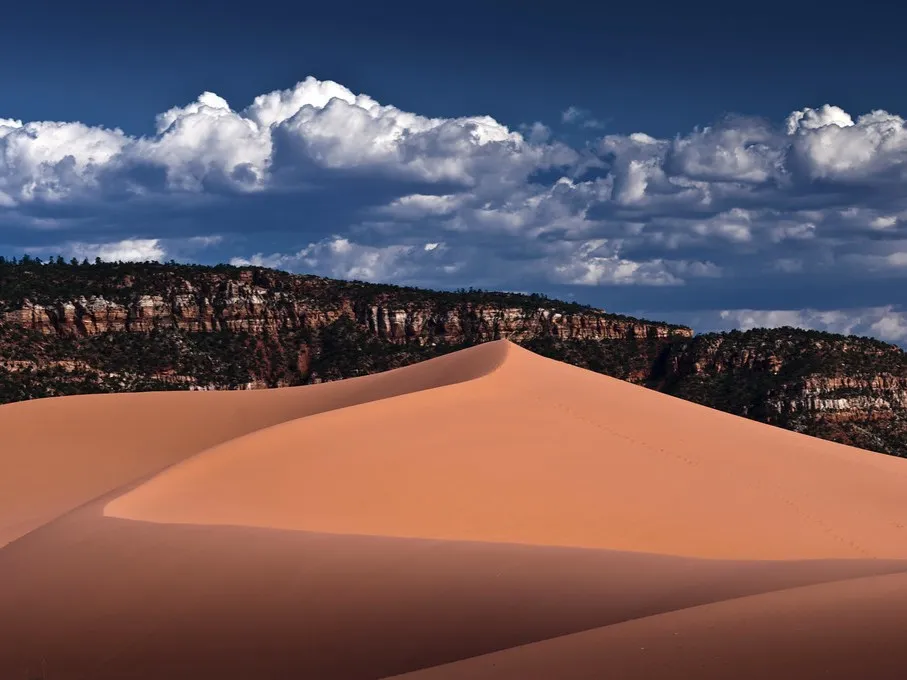 Coral Pink Sand Dunes ATV Tours