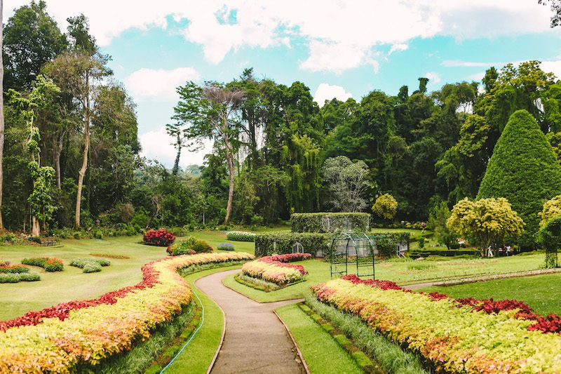 Spice Garden