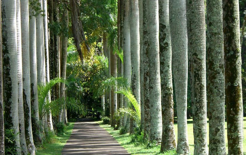 Entrance Walk