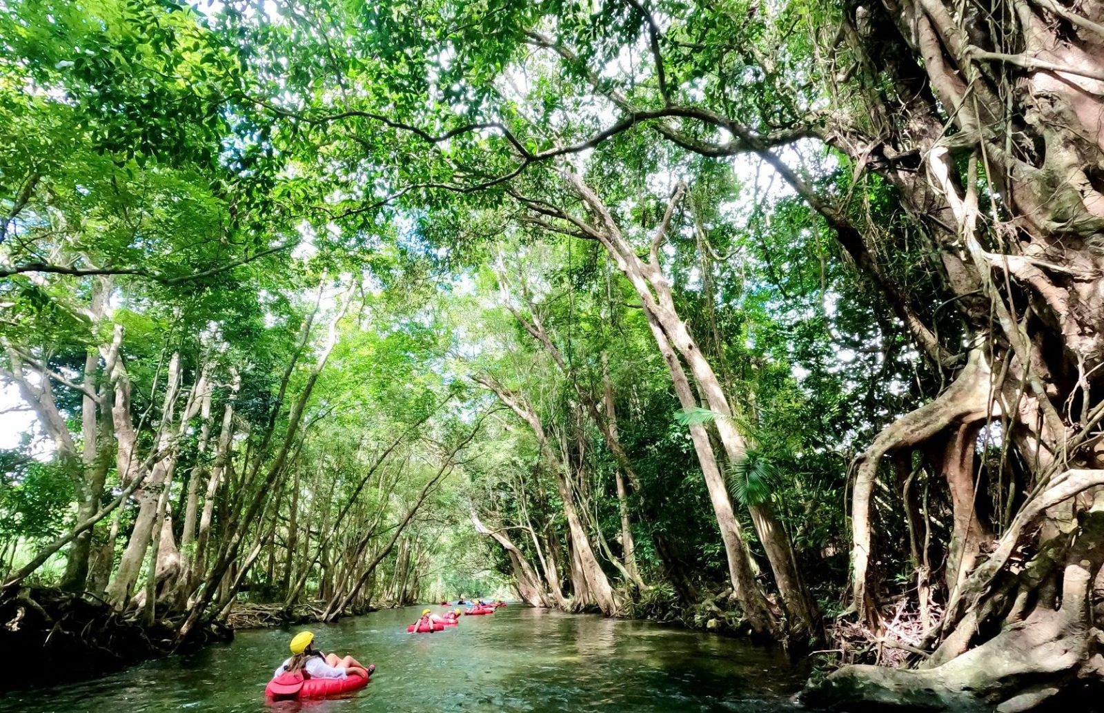 Cairns River Tubing