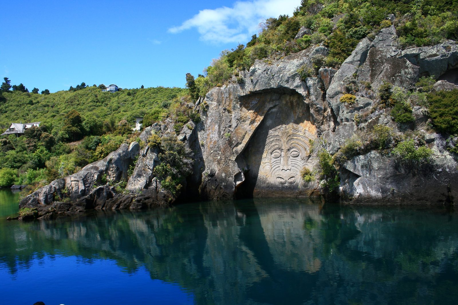 Maori Rock Carvings Boat Tour